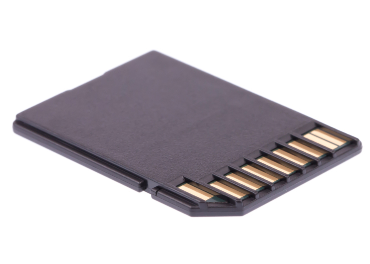 Picture of SD Memory Card